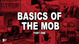 #2: Basics of the Mob: A Beginner's Guide (Part 1)